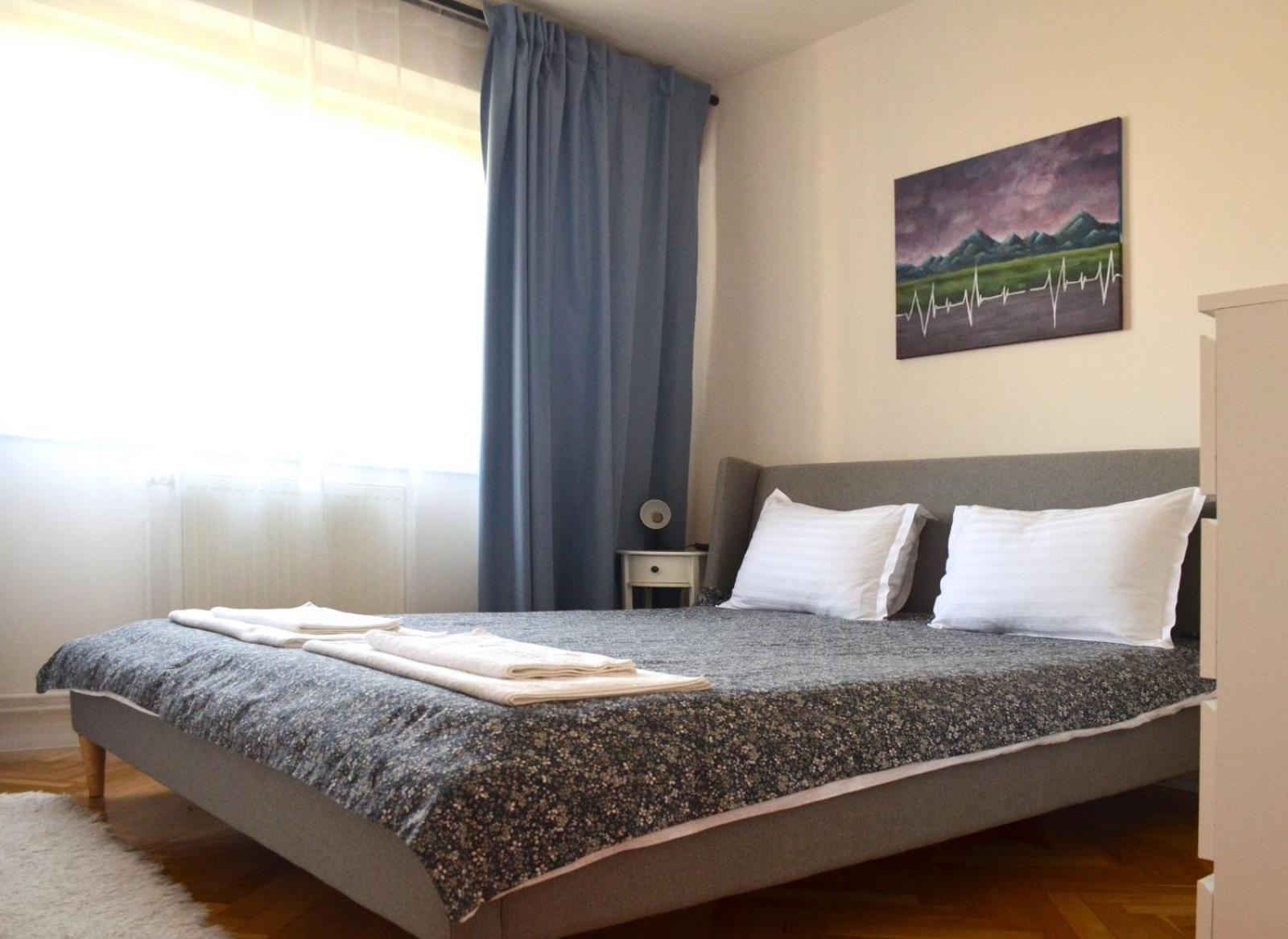 Apartament Mony Timisoara Exterior foto